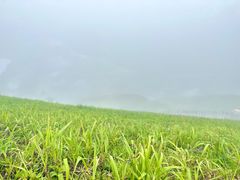 -萍乡武功山风景名胜区