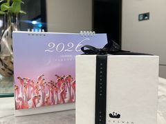 -BLACKSWAN黑天鹅(环球店)