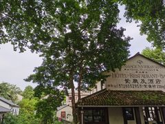 -莫干山风景区