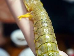 -凯华海鲜火锅·传承三十六年