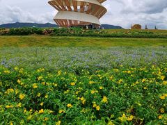 -光明小镇欢乐田园