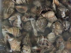 -宾朋海鲜特色美食餐厅·纯手工鲅鱼水饺(兴海路店)