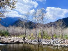 -青峰峡国家森林公园