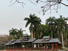 -金花茶公园