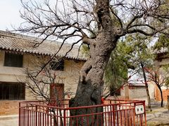 -白台寺