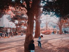 -东京国立博物馆