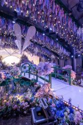 -花嫁丽舍海岛婚礼殿堂(国展店)
