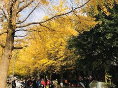 -四川大学(望江校区)