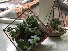 景观位-蝶舍·MAISON PAPILLON