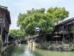 -乌镇东栅景区