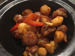 -红棉中餐厅·广州海航威斯汀酒店