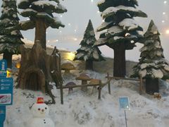 -哈尔滨热雪奇迹