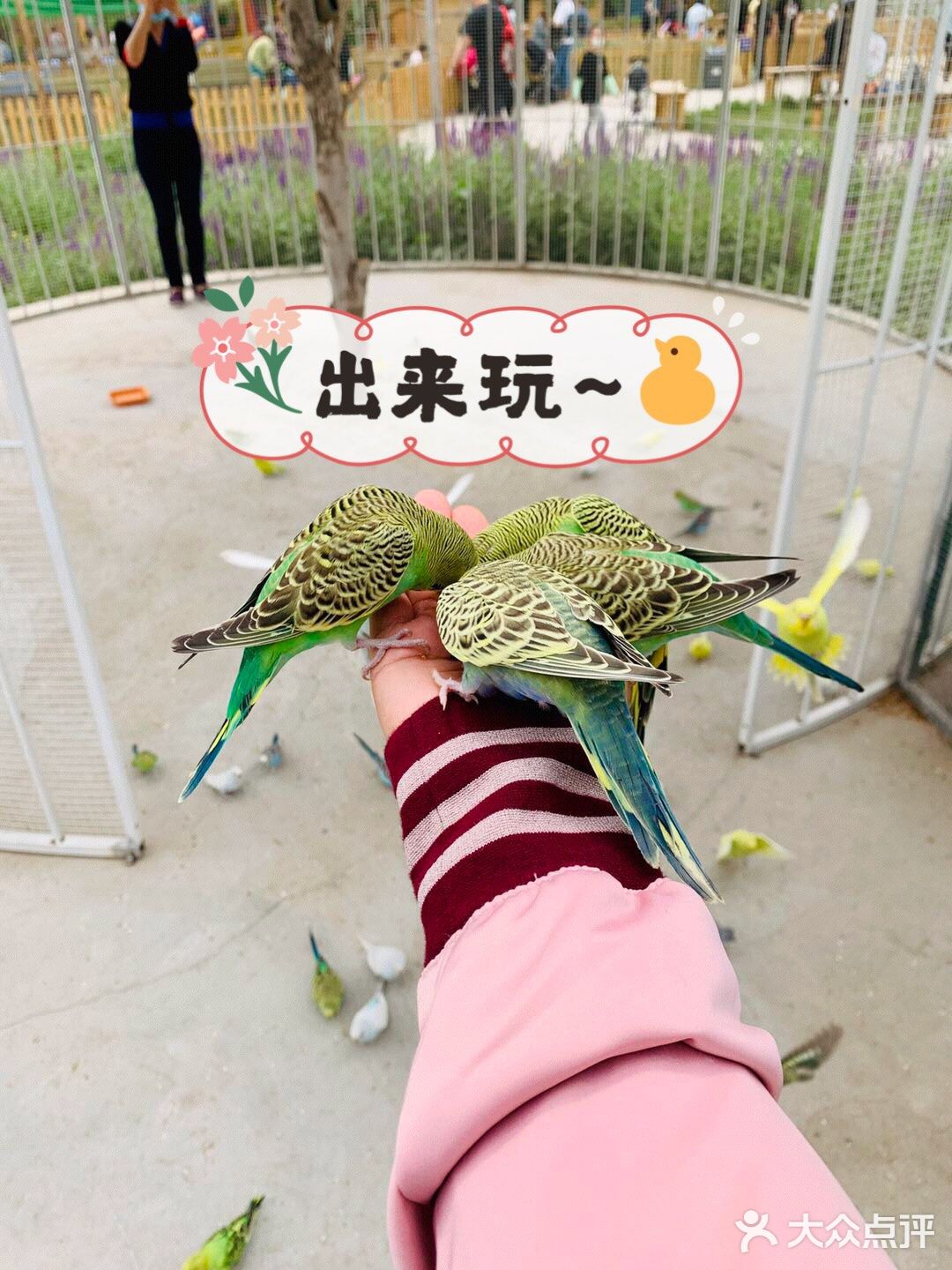 六一给大家推荐[加油]儿童萌宠乐园超可爱