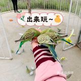 六一给大家推荐[加油]儿童萌宠乐园超可爱
