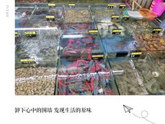 -明记海鲜大排档(巽寮湾店)