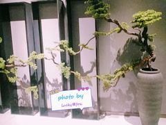 -璞·澐间影院式足道SPA(尚悦湾店)