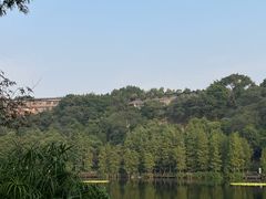 -重庆彩云湖湿地公园