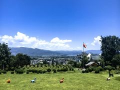 -云禾壹海景庄园餐厅