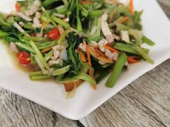 -品雅轩农家乐