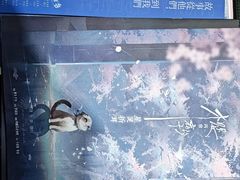 -戏精管理局·剧本杀·桌游·血染钟楼
