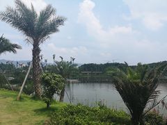 -枫香湖儿童公园