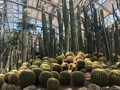 -南山植物园