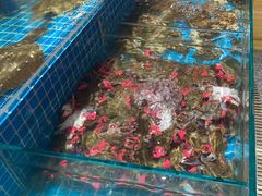 -蓝珊甄选海鲜自助·火锅大排档(近阿那亚店)