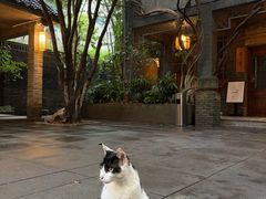 -竹吟山房