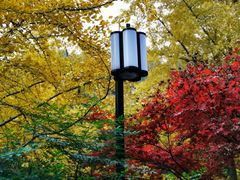 -岳麓山风景名胜区