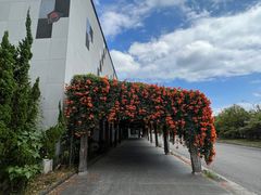 -绮丽珊瑚博物馆(台东店)