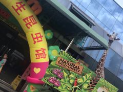 -上海大自然野生昆虫馆(东方明珠·爬宠昆虫探索中心)