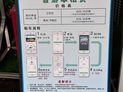 -华侨城湿地公园