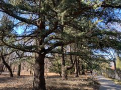 -国家植物园南园