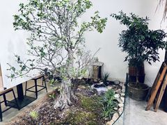 -成川茶店·潮汕工夫浓茶(万象店)