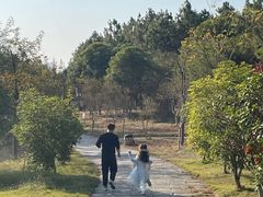 -瑶湖郊野森林公园