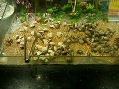 海鲜-金海大酒店·雅地西餐厅