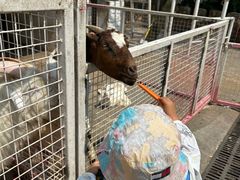 -金庭庄园酒店-停车场