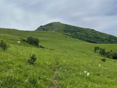 -灵山