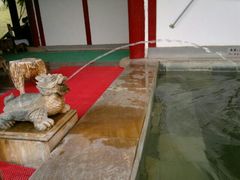 -河源客天下-温泉小镇