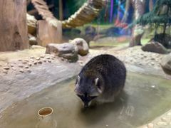 -正佳雨林生态植物园