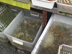 -拉威海鲜市场