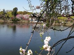 -无锡蠡湖国家湿地公园-蠡园