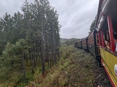 -莫尔道嘎国家森林公园