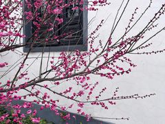 -吴兴寺