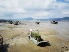 -北岐滩涂