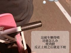 -东湖落雁景区