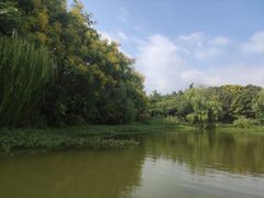 -南湖湿地公园