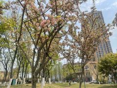 -府河摄影公园