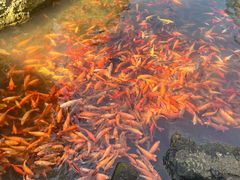 -楠溪江风景名胜区