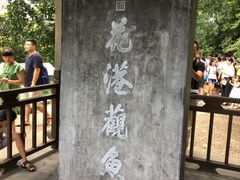 -西湖游船
